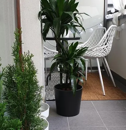 Bit Eccentric With The Balcony Apartment *